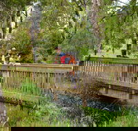 Westerfolds Park - New Castle Holiday