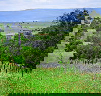 Wild Dog Barrier Fence - New Castle Holiday