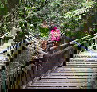 Wonga Walk - New Castle Holiday