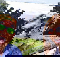 Blue Mountains Supreme Day Tour - New Castle Holiday