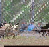 Blue Mountains number 1 Day Tour includes popular breakfast in the Aussie bush - New Castle Holiday