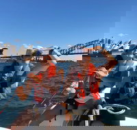 Sydney Harbour - Try Sailing Experience - New Castle Holiday