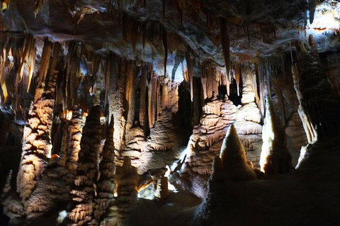 Jenolan Caves: Orient Cave Tour - New Castle Holiday 2