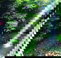 Rainforest  Waterfall Experience - New Castle Holiday