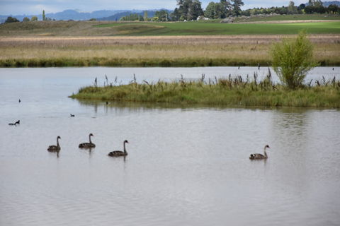 Beardy Waters Dam And Woodlands - New Castle Holiday 0