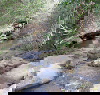 Bomaderry Creek Regional Park - New Castle Holiday