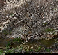 Brisbane Ranges National Park - New Castle Holiday
