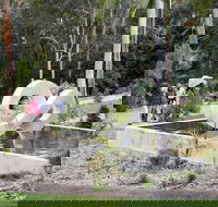 Maroochy Regional Bushland Botanic Garden - New Castle Holiday