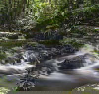 Protesters Falls Walking Track - New Castle Holiday