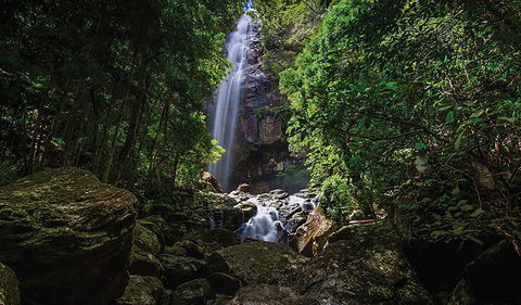 Protesters Falls Walking Track - New Castle Holiday 1