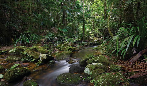 Protesters Falls Walking Track - New Castle Holiday 2