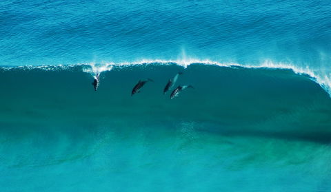 Sand Patch - New Castle Holiday 1