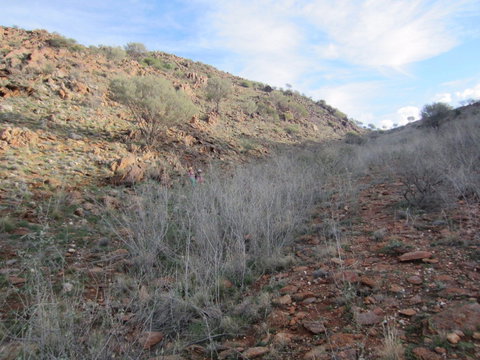 Sundown Nature Trail - New Castle Holiday 2