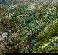 Tiara Walking Track - New Castle Holiday