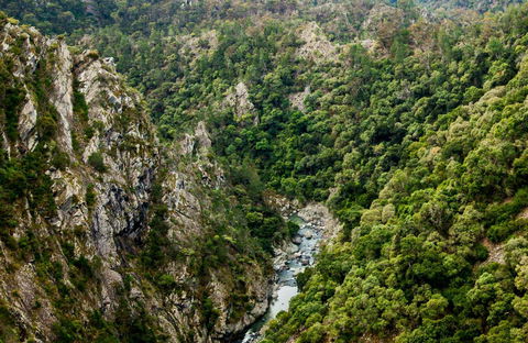 Tiara Walking Track - New Castle Holiday 0