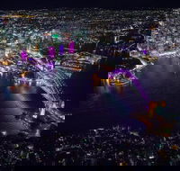 Fly by Night Sydney Harbour Helicopter Tour - New Castle Holiday