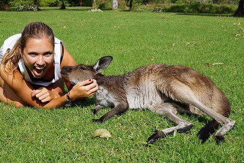 7-Day Tour In Sydney With Airport Pickup - New Castle Holiday 2