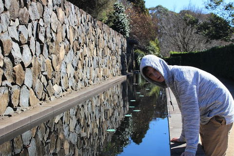 The Other Side Of The Blue Mountains - New Castle Holiday 8