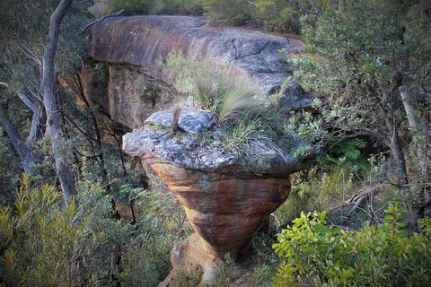 The Other Side Of The Blue Mountains - New Castle Holiday 4