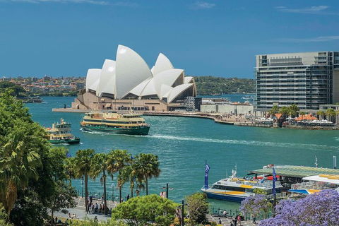 Private Tour Of Sydney - New Castle Holiday 4