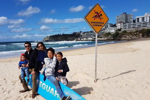 1Day Sydney Private Car Charter With Driver - New Castle Holiday 3