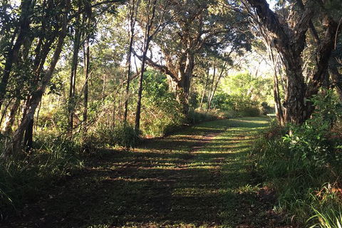 Coffs Harbour To Sawtell Bike Ride - New Castle Holiday 7