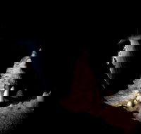 Jenolan Caves Extended Temple of Baal Cave Tour - New Castle Holiday