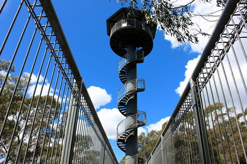 Illawarra Fly Treetop Adventures Admission Including Zipline Tour - New Castle Holiday 3