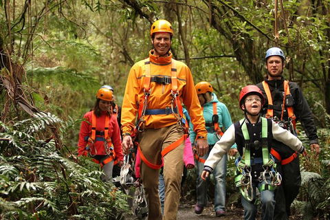 Illawarra Fly Treetop Adventures Admission Including Zipline Tour - New Castle Holiday 1