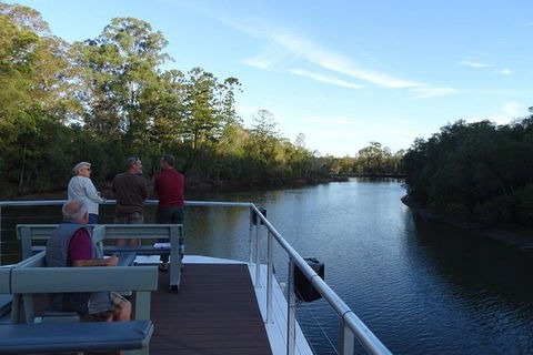 Sunset Eco Rainforest River Cruise - New Castle Holiday 4