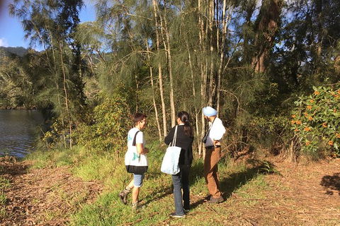 Fishermans Paradise Eco-walk - New Castle Holiday 1