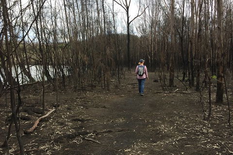 Fishermans Paradise Eco-walk - New Castle Holiday 5