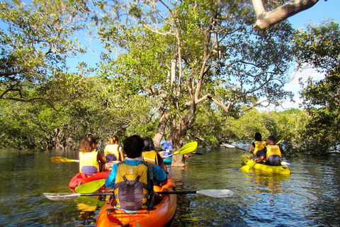 2-Hour Rental Kayak Double In Brunswick River - New Castle Holiday 2