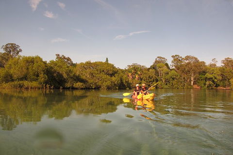 2-Hour Rental Kayak Double In Brunswick River - New Castle Holiday 5
