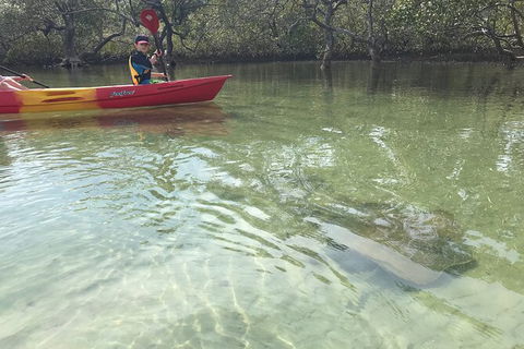 2-Hour Rental Kayak Double In Brunswick River - New Castle Holiday 6