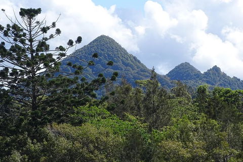 Byron Bay Rainforest Eco-Cruise - New Castle Holiday 3