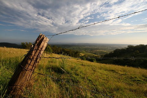 Private Full-Day Wine Tour In Hunter Valley - New Castle Holiday 3