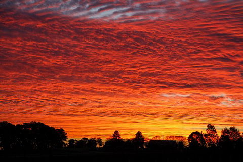 Private Full-Day Wine Tour In Hunter Valley - New Castle Holiday 0