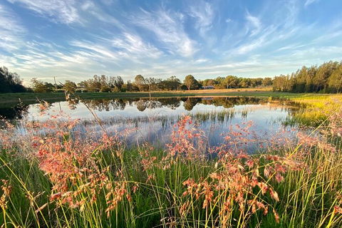 Private Full-Day Wine Tour In Hunter Valley - New Castle Holiday 5