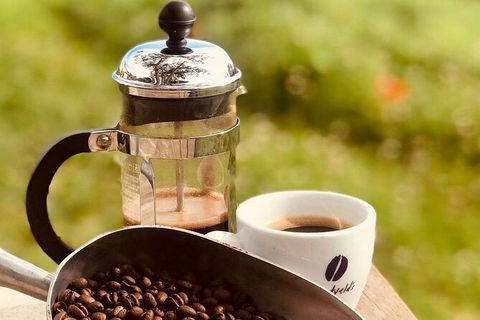 Coffee Farm Tour And Workshop, Byron Bay Hinterland - New Castle Holiday 0