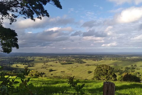 Coffee Farm Tour And Workshop, Byron Bay Hinterland - New Castle Holiday 4