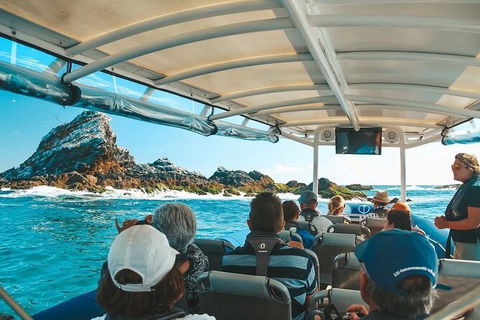 Julian Rocks Byron Bay Cruise - New Castle Holiday 13