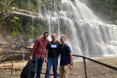 Blue Mountains Highlights & Wildlife Park - New Castle Holiday 4