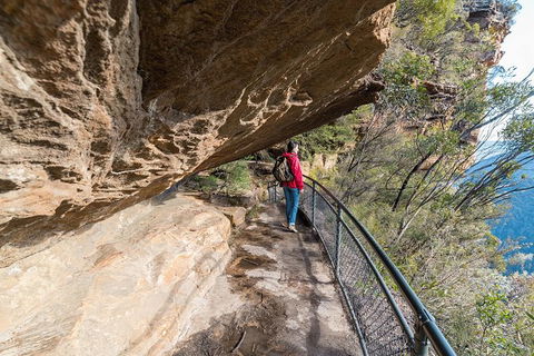 Blue Mountains Highlights & Wildlife Park - New Castle Holiday 0