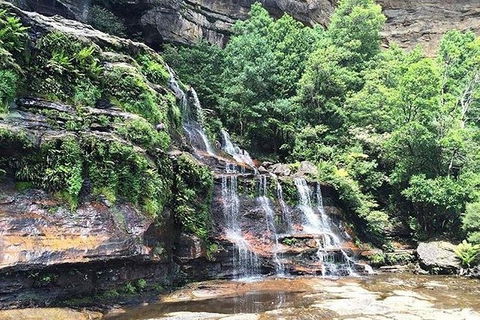 Blue Mountains Highlights & Wildlife Park - New Castle Holiday 8