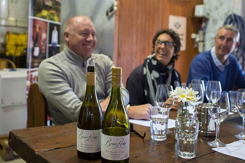 Hunter Valley Highlights Private Wine Tour From Sydney - New Castle Holiday 1