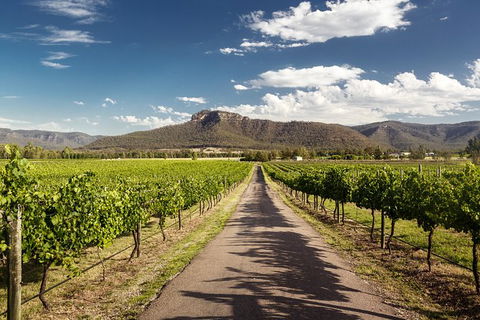 Hunter Valley Highlights Private Wine Tour From Sydney - New Castle Holiday 2
