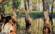 ETHICAL ADVENTURES - Dry Season Litchfield Region, Max 10 Guests - thumb 0