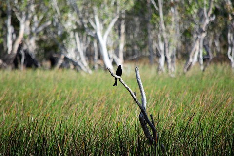 ETHICAL ADVENTURES - Dry Season Litchfield Region, Max 10 Guests - New Castle Holiday 2