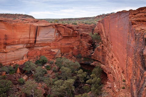 Uluru, Kata Tjuta And Kings Canyon Camping Safari From Alice Springs - New Castle Holiday 4